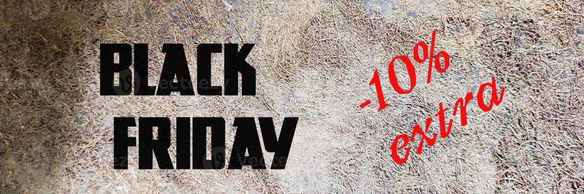 Black Friday 2023